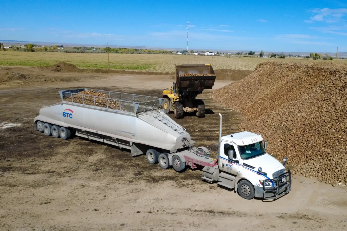 Beets Transportation with SFI